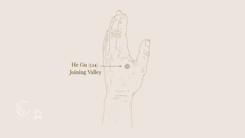 Line drawing of a left hand marking the Hegu (LI4) acupressure point in the web between thumb and index finger — Ayla Executive Medical 澄心康庭