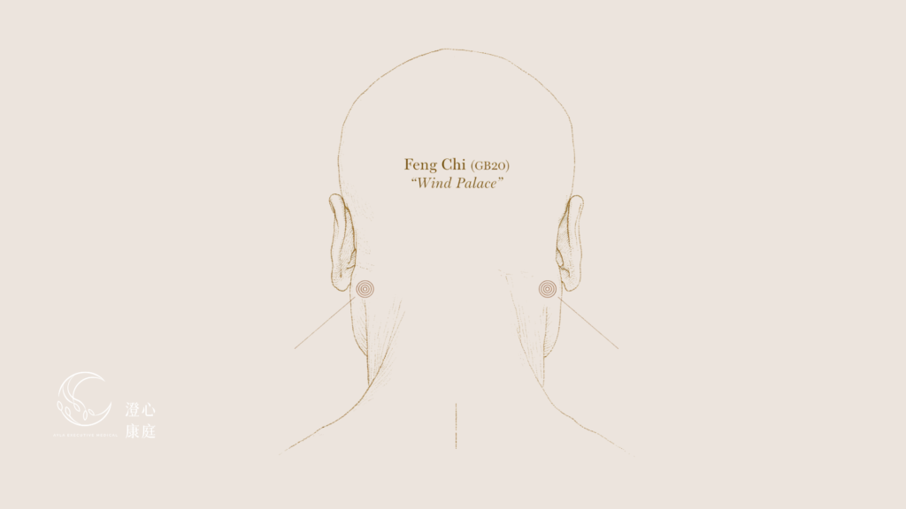Line drawing of the back of the head and neck marking Fengchi (GB20) points in the hollows at the base of the skull — Ayla Executive Medical 澄心康庭